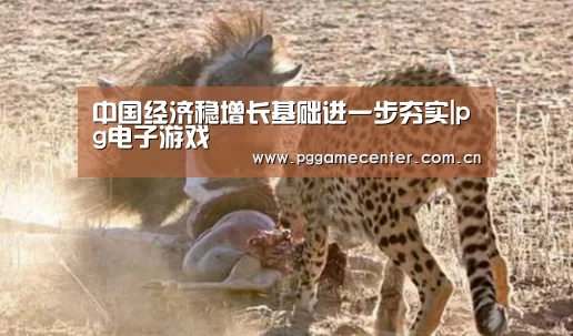 pg电子游戏
