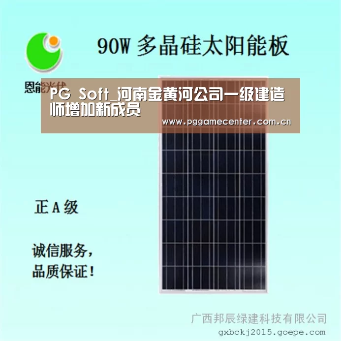 pg电子模拟器官网