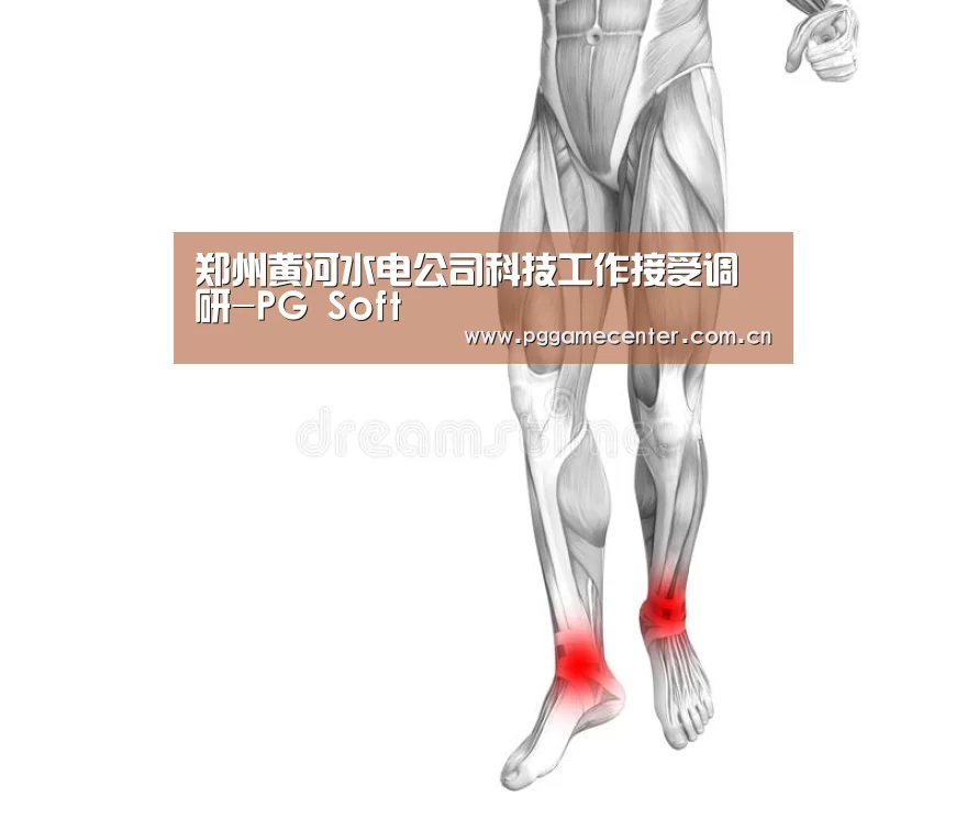 pg电子模拟器官网