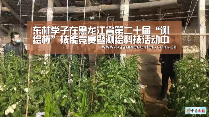 东林学子在黑龙江省第二十届“测绘杯”技能竞赛暨测绘科技活动中喜获佳绩-pg电子游戏